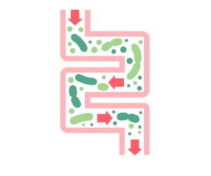 diagram of colon following colonic irrigation